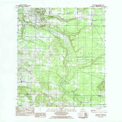 Benzonia MI topo map, 1:24000 Scale, 7.5 X 7.5 Minute, Historical, 1983, Updated 1984, 28.2 x 22.8 in - Tyvek