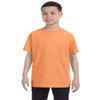 Fashion Gildan 5000B Youth 100% Cotton Tee Garnet Large view 2