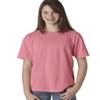 Chouinard 9018 Youth Garment-Dyed Ring-Spun Cotton Tee Crunchberry Small view 1