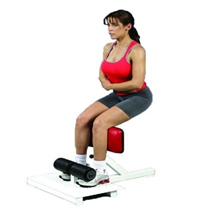 Live Well Sissy Squat Bench