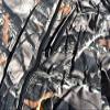 Camouflage Insulated Jacket (Medium, Lost Camo) view 4