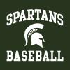 AS1095 - Michigan State Spartans Arch Logo Baseball T-Shirt - 3X-Large - Forest view 3