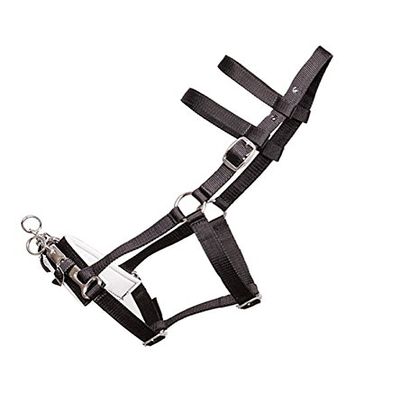Jacks 10418-BK Lunging Halter with Nylon Webbing, Black