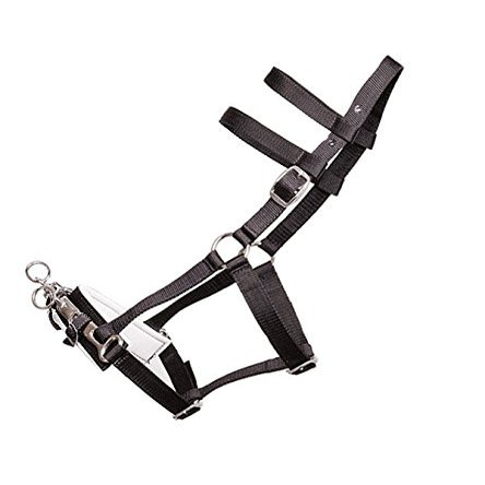 Jacks 10418-BK Lunging Halter with Nylon Webbing, Black