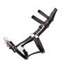 Jacks 10418-BK Lunging Halter with Nylon Webbing, Black view 1