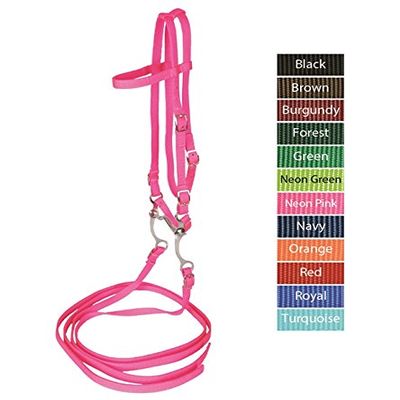 Jacks Imports Bridle with Reins & Curb Bit NEON PINK