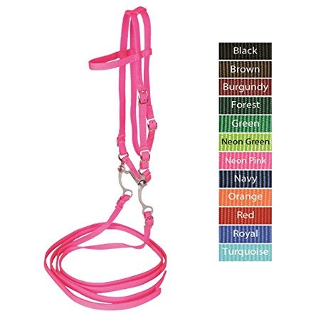 Jacks Imports Bridle with Reins & Curb Bit NEON PINK