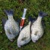 Kodiak Fish Attractant Injector 2 Pack Panfish Formula view 4