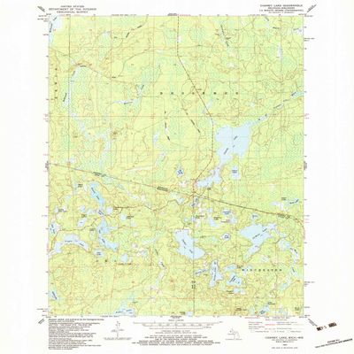 YellowMaps Chaney Lake MI topo map, 1:24000 Scale, 7.5 X 7.5 Minute, Historical, 1982, Updated 1983, 27 x 22 in - Tyvek