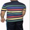 Digital Way Polos for Men, Stripped Polo T Shirts for Men, 100% Cotton T Shirt view 3