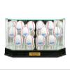 12 Baseball Display Case with Engraving and Conservation Glass (99% UV) view 1
