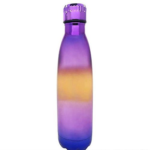 DollarItemDirect 17 oz Double Wall Multi Bottle, Case of 24