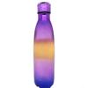 DollarItemDirect 17 oz Double Wall Multi Bottle, Case of 24 view 1