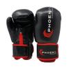 Phoenix Fight Gear Kids Champion Boxing Gloves, Junior Punching Gloves, Boxing Gloves for Boys and Girls, Sparring, and Other MMA Mixed Martial Arts Sports view 1