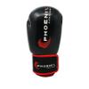 Phoenix Fight Gear Kids Champion Boxing Gloves, Junior Punching Gloves, Boxing Gloves for Boys and Girls, Sparring, and Other MMA Mixed Martial Arts Sports view 2