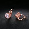 18K Rose/White Gold-Plated Round Cut Cubic Zirconia Stud Earrings For Women (Rose Gold) view 3