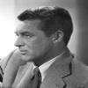 Cary Grant Side view Pose in Printed Suit and Necktie Photo Print (8 x 10) view 1