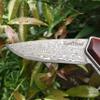 ALBATROSS Premium Damascus Folding Knife - EDC Pocket Knife with Cocobolo Wood Handle, 3.5" Blade, Liner Lock System - Outdoor Camping Hunting Survival Tool - Gift for Men-HGDK001 view 2