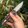 ALBATROSS Premium Damascus Folding Knife - EDC Pocket Knife with Cocobolo Wood Handle, 3.5" Blade, Liner Lock System - Outdoor Camping Hunting Survival Tool - Gift for Men-HGDK001 view 3