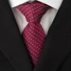 Adulove Men's Necktie Classic Silk Tie Woven Jacquard Neck Ties 6 PCS view 4