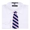 BUYYOURTIES Boys Zipper Repp Stripe College Printed Necktie Ties Many Colors view 2