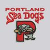 Vantage Apparel Minor League Baseball Portland Sea Dogs 1/4-Zip Tech Pullover, Gray, XL view 2