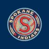 Vantage Apparel Minor League Baseball Spokane Indians 1/4-Zip Tech Pullover, Navy, Medium view 2