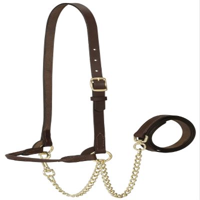 Weaver Leather Livestock Dairy Halter, Large, Brown