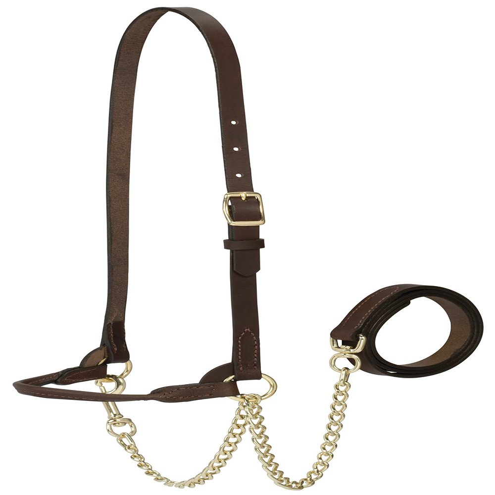 Weaver Leather Livestock Dairy Halter, Large, Brown