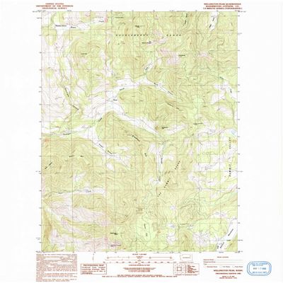 Wellington Peak WA topo map, 1:24000 Scale, 7.5 X 7.5 Minute, Historical, 1985, Updated 1993, 27.1 x 22.2 in - Tyvek