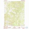 Wellington Peak WA topo map, 1:24000 Scale, 7.5 X 7.5 Minute, Historical, 1985, Updated 1993, 27.1 x 22.2 in - Tyvek view 1