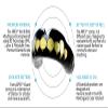 GuardLab APEX Mouthguard w/Case | Football, Basketball, Boxing, Wrestling, Soccer, Karate, Hockey, MMA | Adult & Youth | Pre-Indented for a Precise Fit (APEX/Gold Fangs, Small) view 2