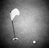 2000s Golf Ball On Putting Green With Flag Marker In Hole From Above Poster Print By Vintage Collection (24 X 24)