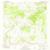 YellowMaps Twentytwo Spring NM topo map, 1:24000 Scale, 7.5 X 7.5 Minute, Historical, 1972, Updated 1976, 26.8 x 22 in - Tyvek view 1