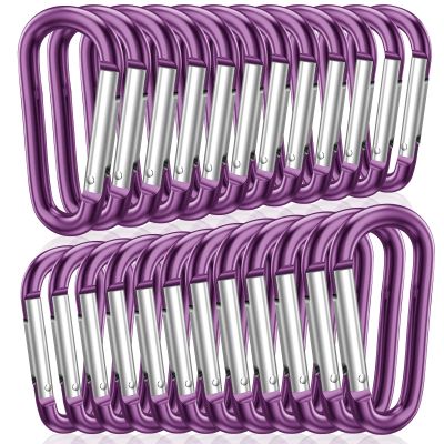 STURME 2" Aluminum D Ring Carabiners Clip D Shape Spring Loaded Gate Small Keychain Carabiner Clip Set for Outdoor Camping Mini Lock Snap Hooks Spring Link Key Chain Durable Improved 24 PCS (Purple)