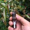 ALBATROSS Premium EDC Mini Damascus Folding Pocket Knife - 2" Blade, Genuine Sandalwood Handle, Liner Lock, Everyday Carry for Camping, Hunting, Outdoor Adventures, Great Gift for Men - HGDK002 view 3