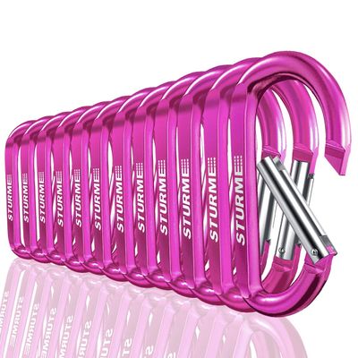 3" Aluminum D Ring Carabiners Clip D Shape Spring Loaded Gate Small Keychain Carabiner Clip Set for Outdoor Camping Mini Lock Snap Hooks Spring Link Key Chain Durable Improved 12 PCS (Fuschia)