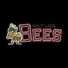 Vantage Apparel Minor League Baseball Salt Lake Bees 1/4-Zip Tech Pullover, Black, 2XL view 2
