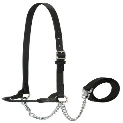 Weaver Leather Livestock Dairy Halter, Medium, Black