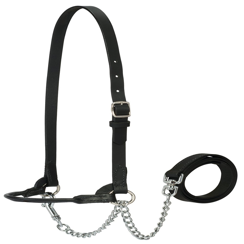 Weaver Leather Livestock Dairy Halter, Medium, Black