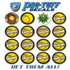 Award Decals for Softball by Pro-Tuff Decals, Softball Award Decals in Full Color 100 Softball Award Stickers (Softball Steal) view 3