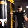 Mytra Fusion Boxing Gloves Pro Training Sparring Kickboxing Gloves for Men Women Punching Gloves MMA Muay Thai Workout Gloves 10 oz 12 oz 14 oz 16 Oz view 3