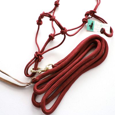 Star Point Horsemanship Mini-Pony 4 Knotted Rope Halter & 8' Lead Set (Burgundy, Small 32" & Under Mini)