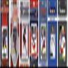 NHL Columbus Blue Jackets BLUEJACKETS717TS Men's sports related trading cards, Brown, One Size view 1