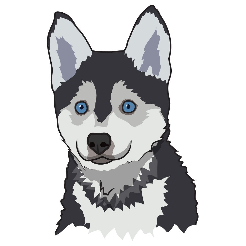 Pomsky Decal | Indoor/Outdoor | Dog Lover Super Cute Sticker for SUV Windows, Dorm Rooms, Bedroom, Offices | SignMission Personalized Gift | 36"