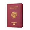 bjduck99 Portable Passport Bank Credit Card Document Cover Holder Case Travel Protector - Purplish Red view 1