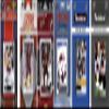 C&I Collectables NHL Arizona Coyotes COYOTES617TS Men's Sports Related Trading Cards, Brown, One Size view 1