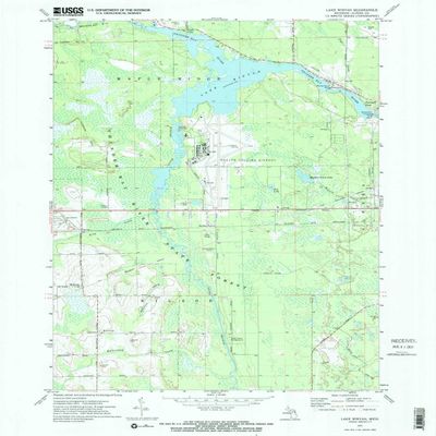 YellowMaps Lake Winyah MI topo map, 1:24000 Scale, 7.5 X 7.5 Minute, Historical, 1971, Updated 1974, 26.9 x 21.6 in - Tyvek