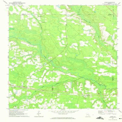 YellowMaps Axson GA topo map, 1:24000 Scale, 7.5 X 7.5 Minute, Historical, 1971, Updated 1974, 26.9 x 22 in - Tyvek
