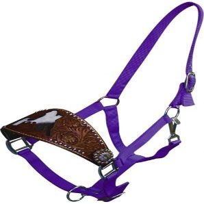 Showman Bronc Halter w/Floral Tooling & Cowhide Cut Out Barrel Racer